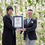 『チームラボ　ボーダレス　麻布台　注意点