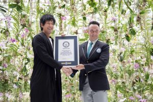 『チームラボ ボーダレス 麻布台 注意点