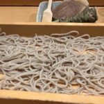 白いムースがかかった絶品おうどん！！