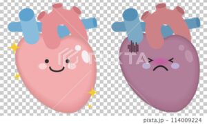 心臓を守りたいなら、食事を変えよ!毎日意識 すべき事