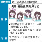 通称『歩く肺炎』が危険！マイコプラズマ肺炎の実像と予防法