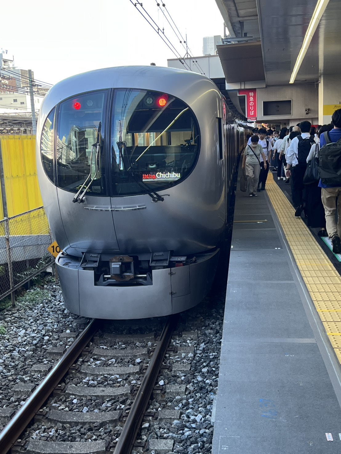 池袋から西武秩父へ向かう西武鉄道の特急ラビュー
