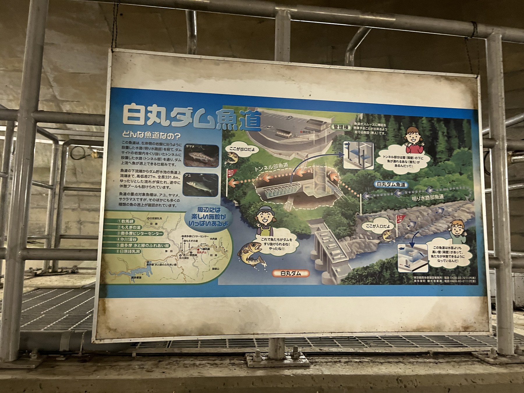 白丸魚道の仕組みを説明する案内板