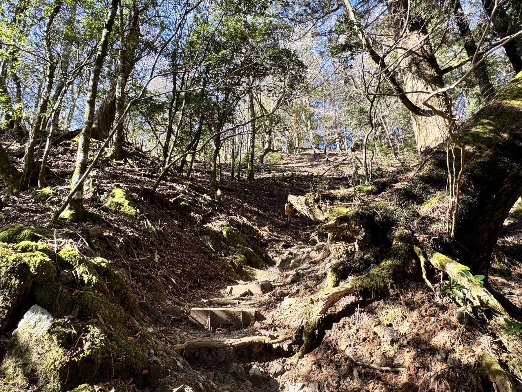 玉石社から玉置山山頂へ続く山道