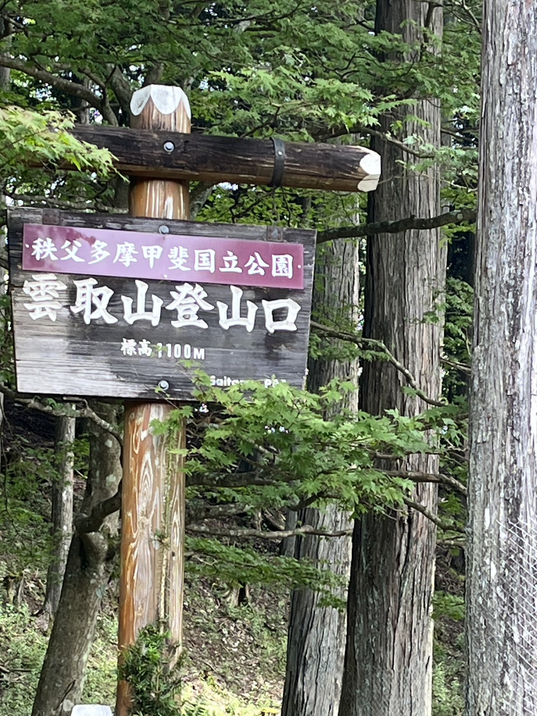 三峯神社の奥宮登山口