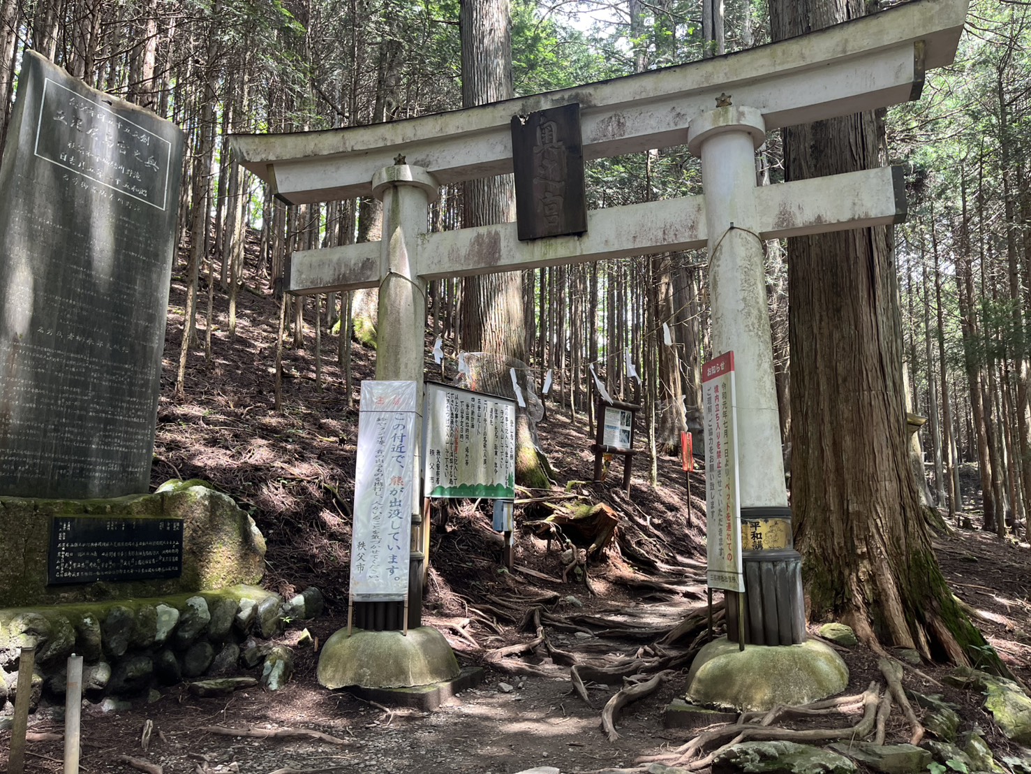 三峯神社奥宮参道の山中に立つ鳥居