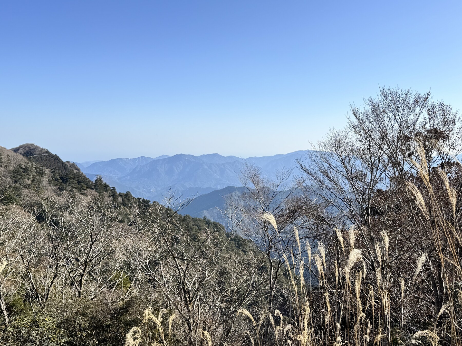 玉置山山頂付近からの山並み