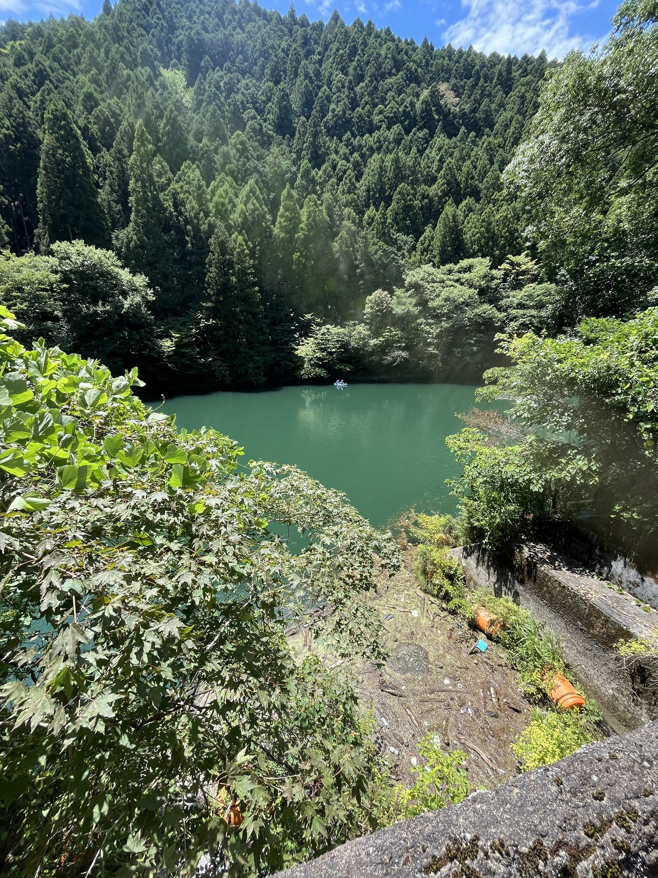 白丸調整池の水面