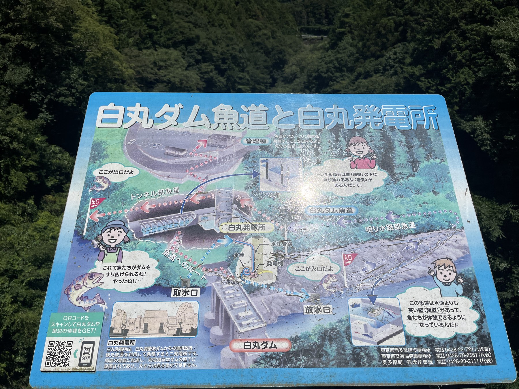 白丸ダムと白丸魚道の案内図