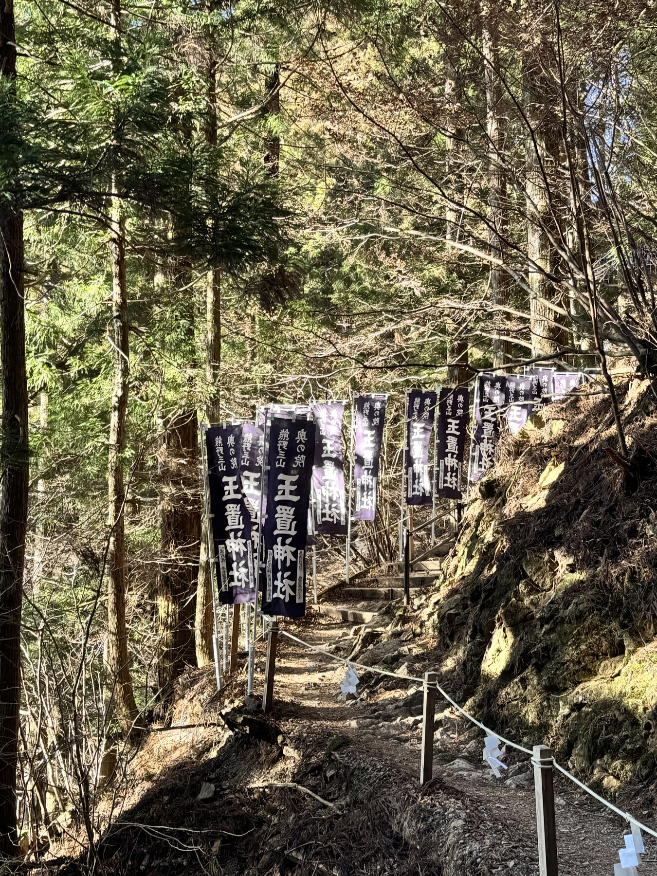 玉置神社の老杉に囲まれた参道