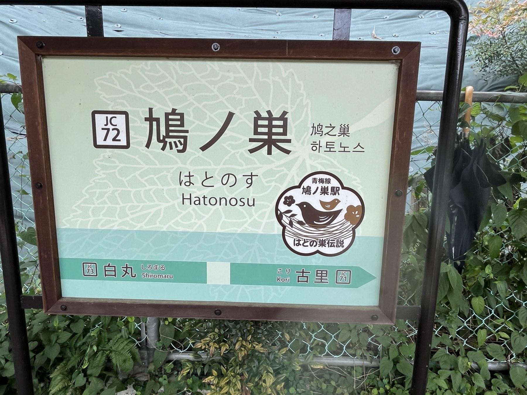 帰りの鳩ノ巣駅