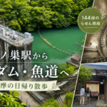 【鳩ノ巣～白丸ダム】日曜劇場『DCU』ロケ地へ。高低差27mの「白丸魚道」と地元野菜に出会う日帰り旅