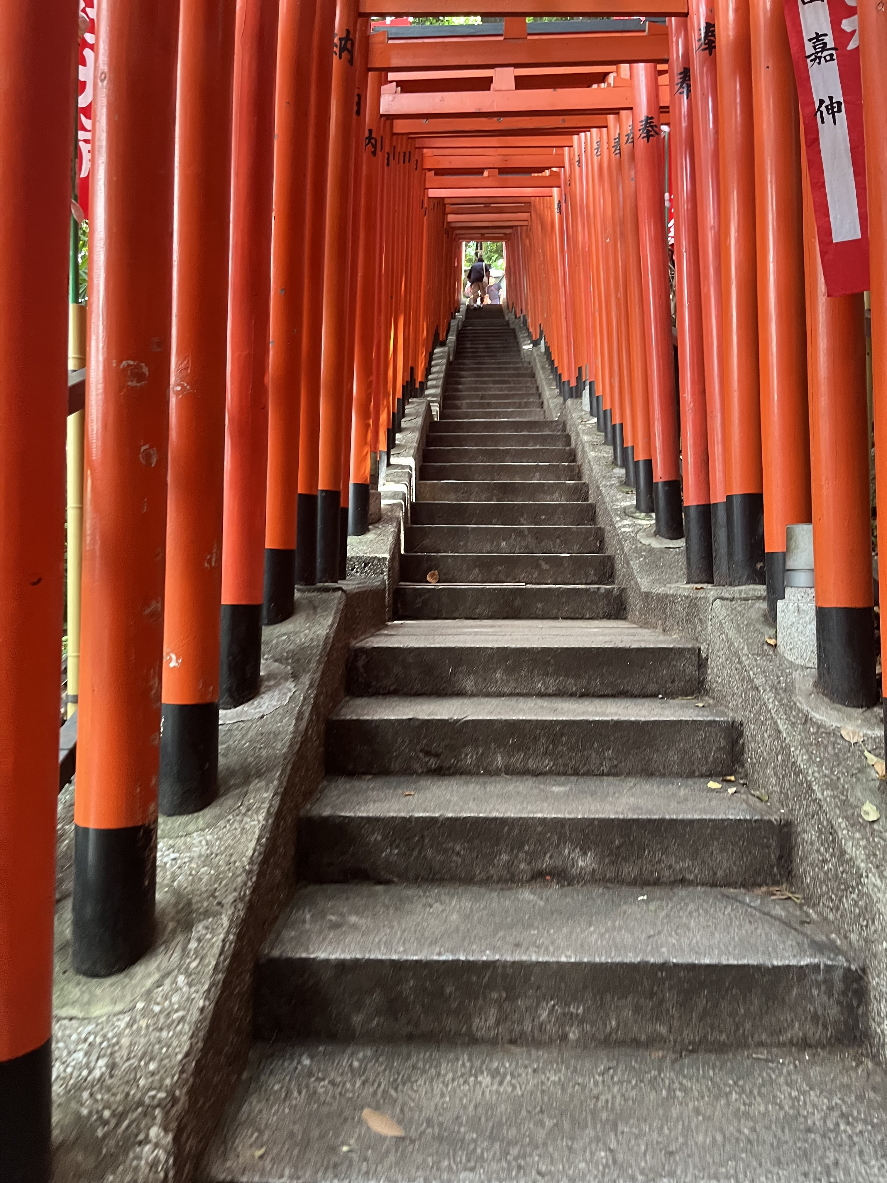 日枝神社の稲荷参道に連なる朱色の千本鳥居