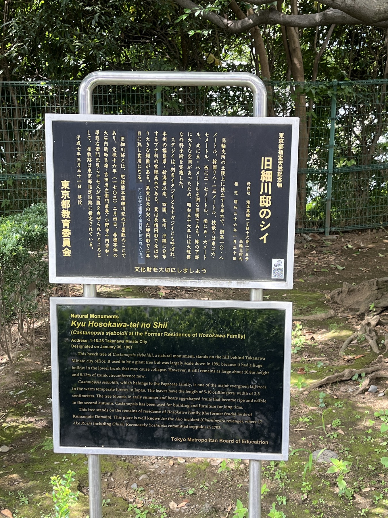 東京都指定天然記念物 旧細川邸のシイの説明板