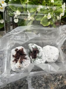 【高輪・泉岳寺】昭和天皇も愛した「松島屋」の豆大福｜豆・草を購入！行列・売り切れ・栗蒸し羊羹予約を現地レポ