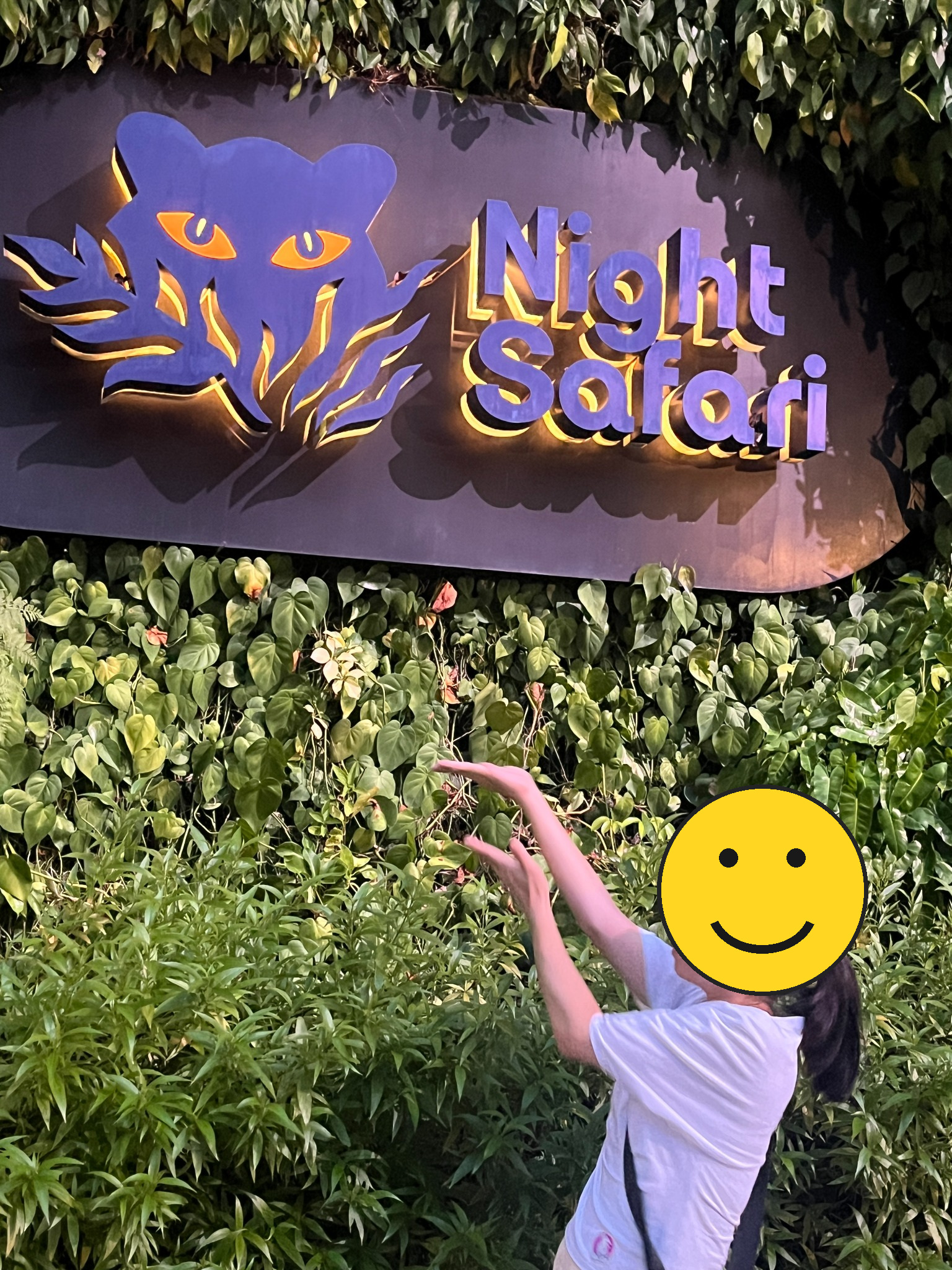 Night Safariのサイン