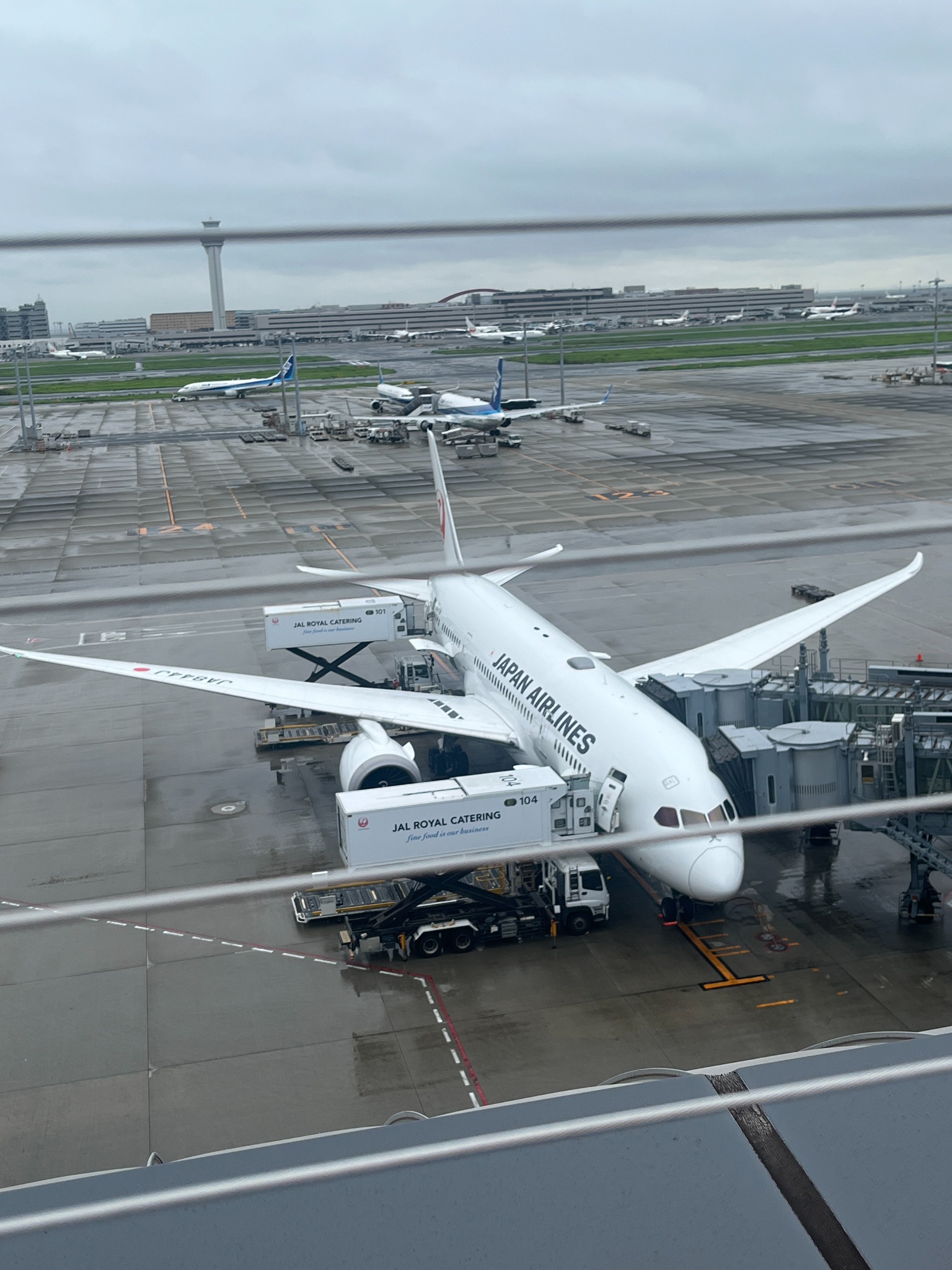 羽田空港から見たJAL機
