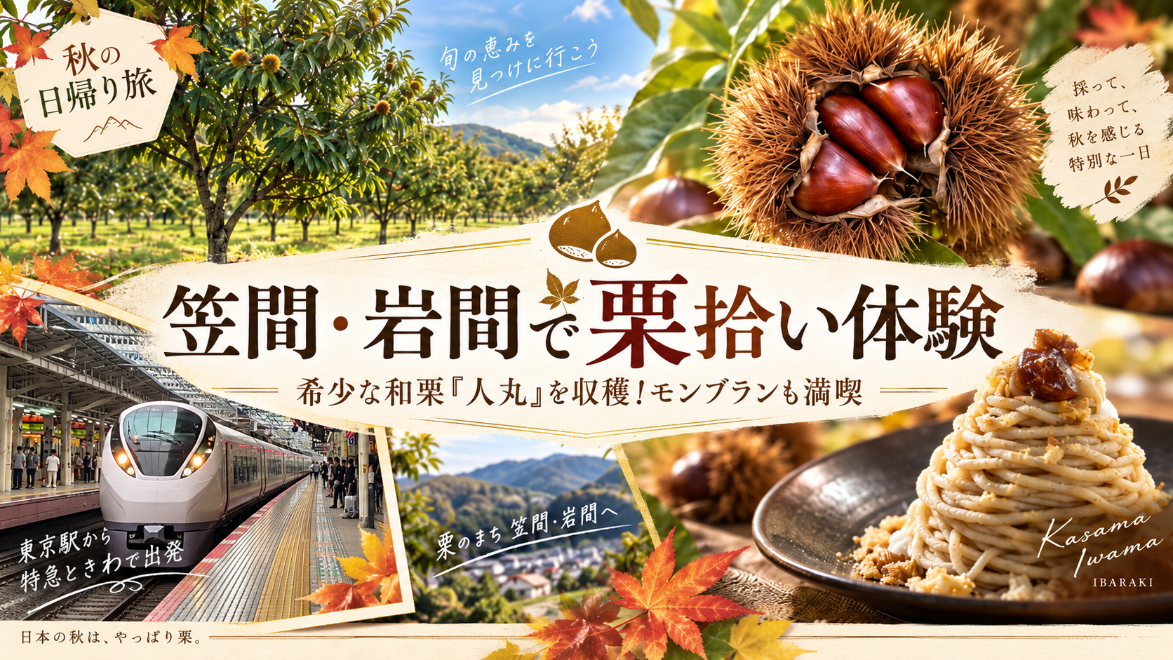 【都内から楽しむ秋旅】笠間・岩間で栗拾い体験!希少な和栗「人丸」と出会う一日