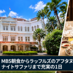 【シンガポール旅行3日目】MBS朝食からラッフルズのアフタヌーンティー！寺院巡りとナイトサファリまで満喫