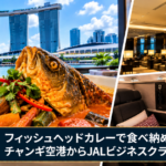 【シンガポール旅行5日目・最終日】観音堂からフィッシュヘッドカレー！チャンギ空港ラウンジとJALで帰国