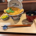 【赤坂】#カツ丼は人を幸せにする実食｜とじないカツ丼「並」とヒレを正直レビュー