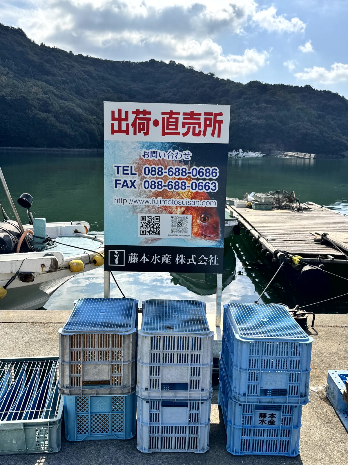 鳴門 撫佐漁港 藤本水産の看板